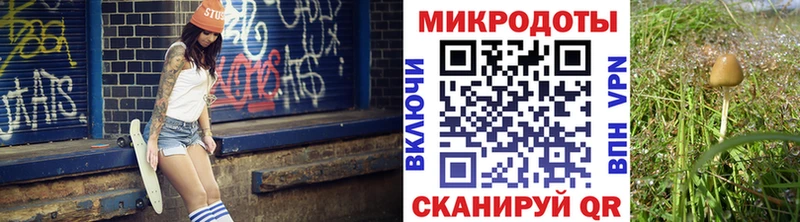 Галлюциногенные грибы Psilocybine cubensis  Артёмовск 